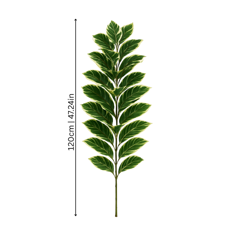 FicusFake