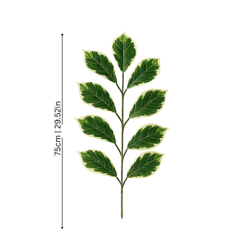 FicusFake