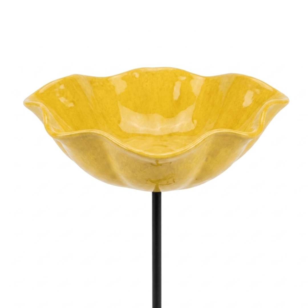 Blumenito