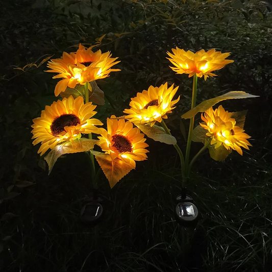 SonnenBlüte