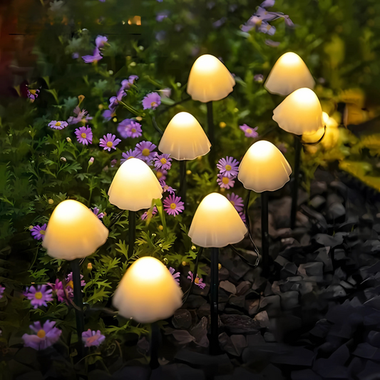 PilzLichter