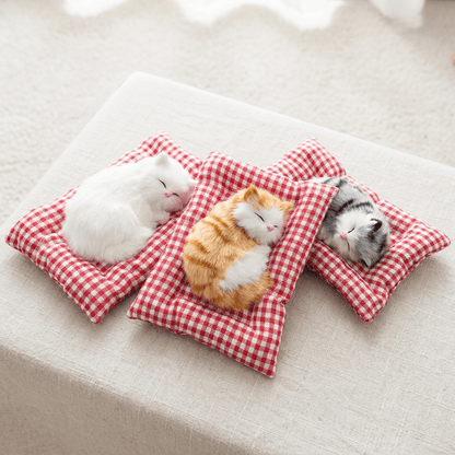 Katzenschatz