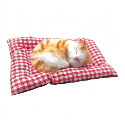 Katzenschatz