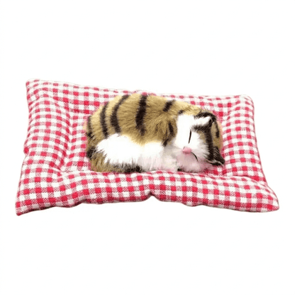Katzenschatz