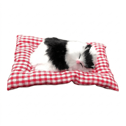 Katzenschatz