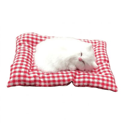 Katzenschatz