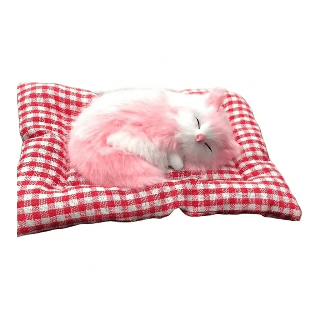 Katzenschatz