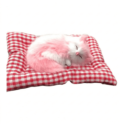 Katzenschatz