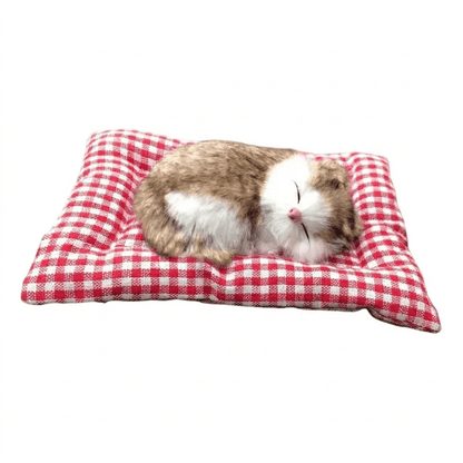 Katzenschatz