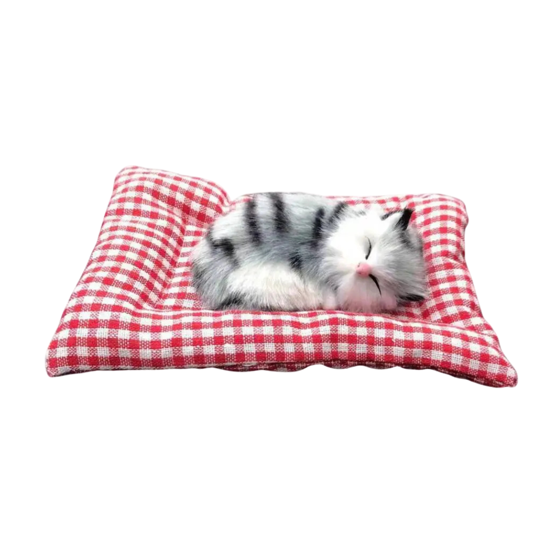 Katzenschatz