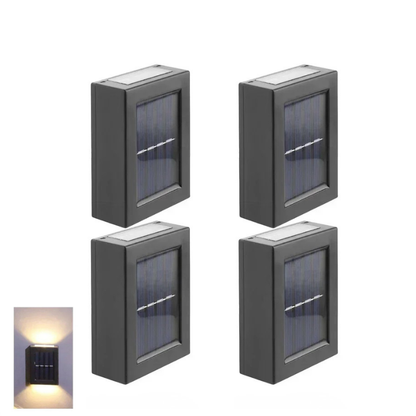 Lichtnest